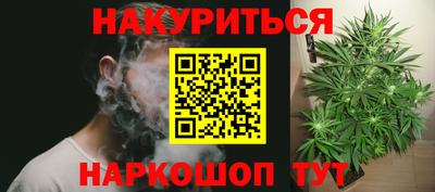 ешки Кингисепп