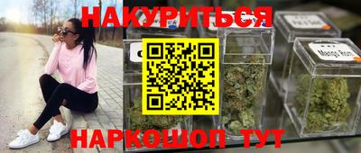 ешки Кингисепп
