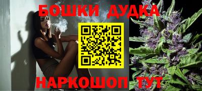 ешки Кингисепп