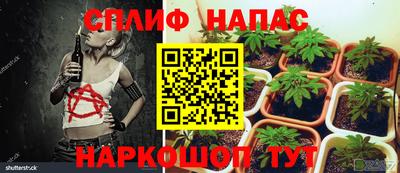 прущие грибы Конаково