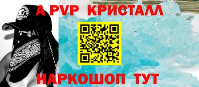 ешки Кингисепп