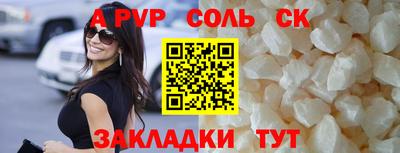ешки Кингисепп