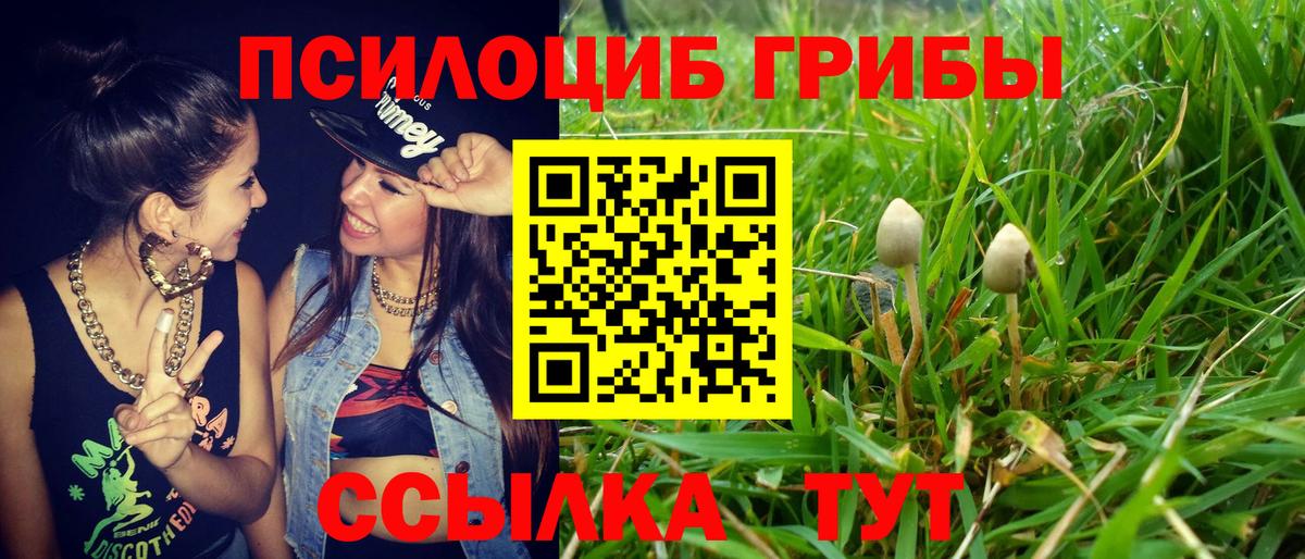 Галлюциногенные грибы MAGIC MUSHROOMS  Вход с VPN  Комсомольск-на-Амуре 