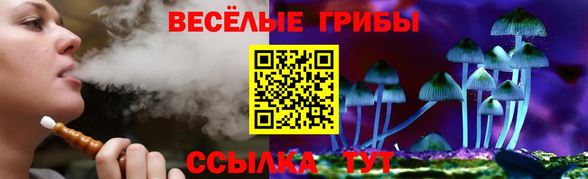 Псилоцибиновые грибы Magic Shrooms Комсомольск-на-Амуре